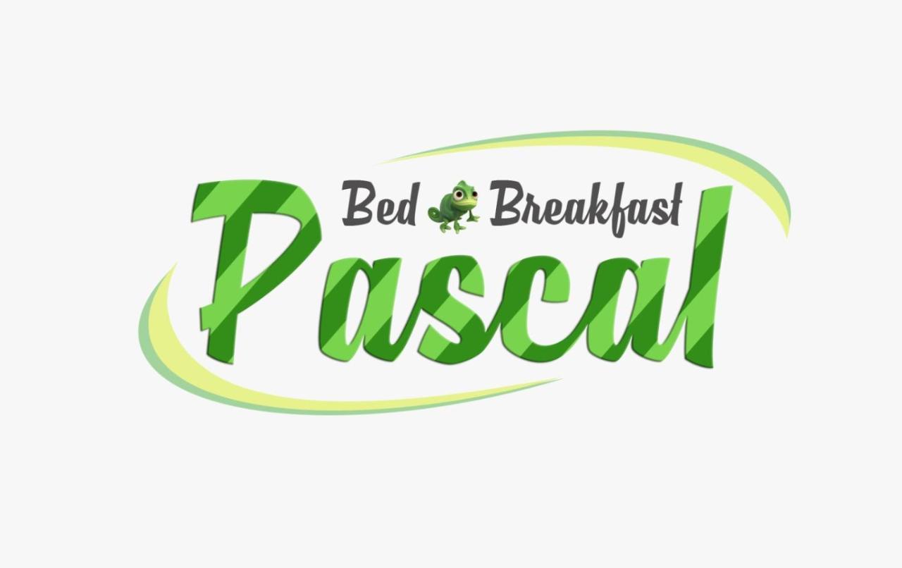 Pascal Couette-café